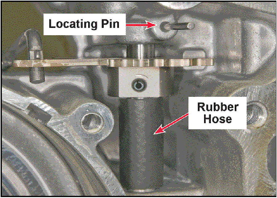 520065657_graphic-text216